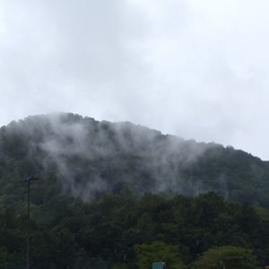 Meet your Posher, Tj